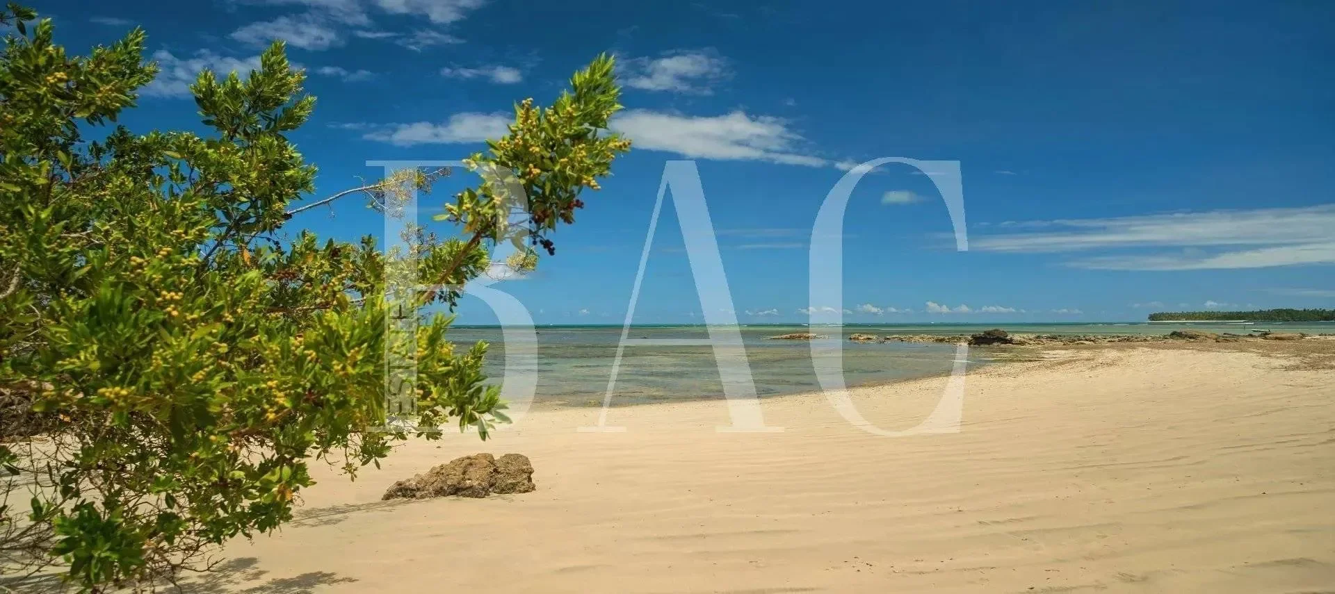 State of Bahia, Brazil. - Photo 7