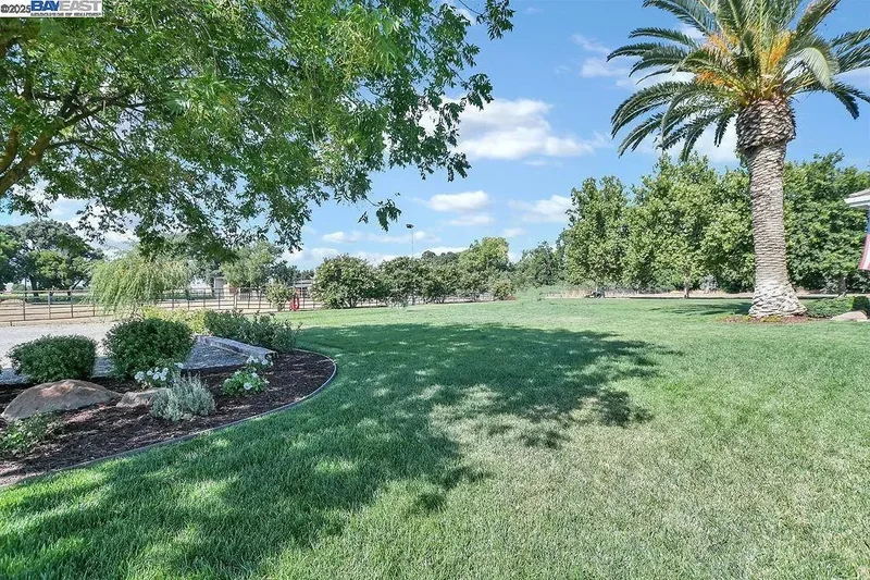 3335 Kellogg Creek Rd, Byron, California, United States. - Photo 4