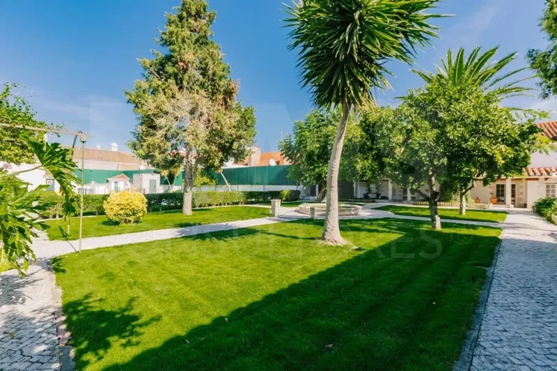 Benavente, Santarem District, Portugal. - Photo 8