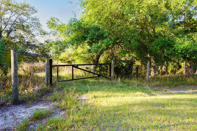 356 Drayton Island Rd , Georgetown, FL 32139, Georgetown, Florida, United States. - Photo 31