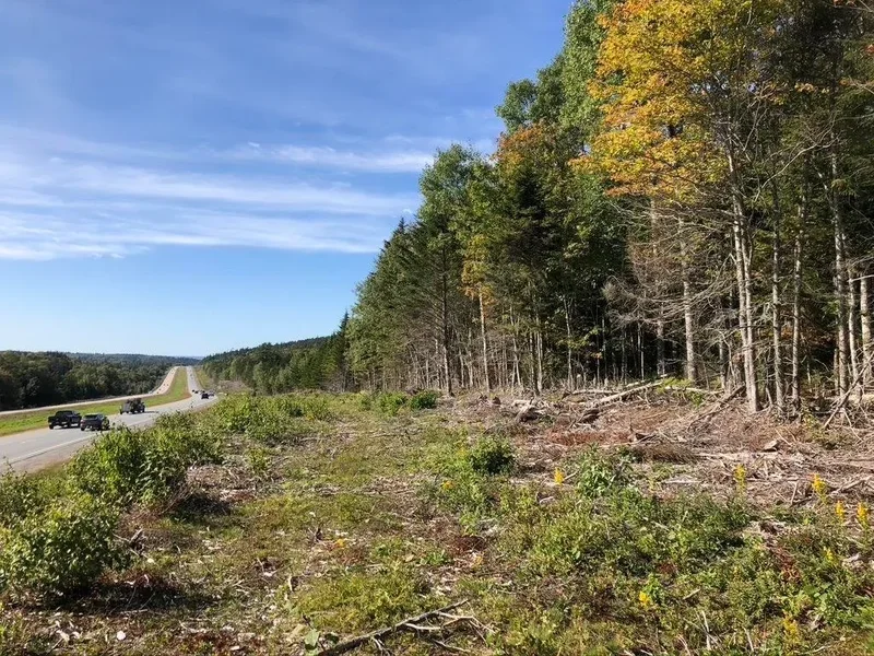 No 101 Highway #Acreage, Ardoise, NS B0N 1L0, Ardoise, Nova Scotia, Canada. - Photo 7