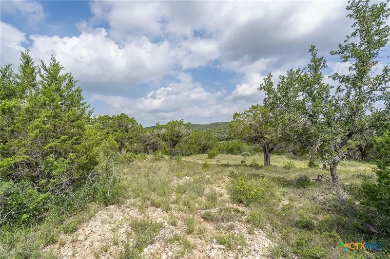 19705 Tyler Trail, Jonestown, TX 78645, Jonestown, Texas, United States. - Photo 23
