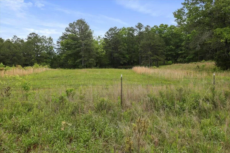 7064 County Road 14-223, Ava, MO 65608, Ava, Missouri, United States. - Photo 9