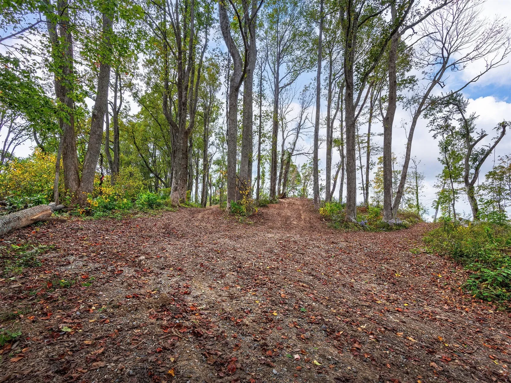 566 Elk Mountain Scenic, Asheville, NC, 28804, USA, Weaverville, North Carolina, United States. - Photo 5