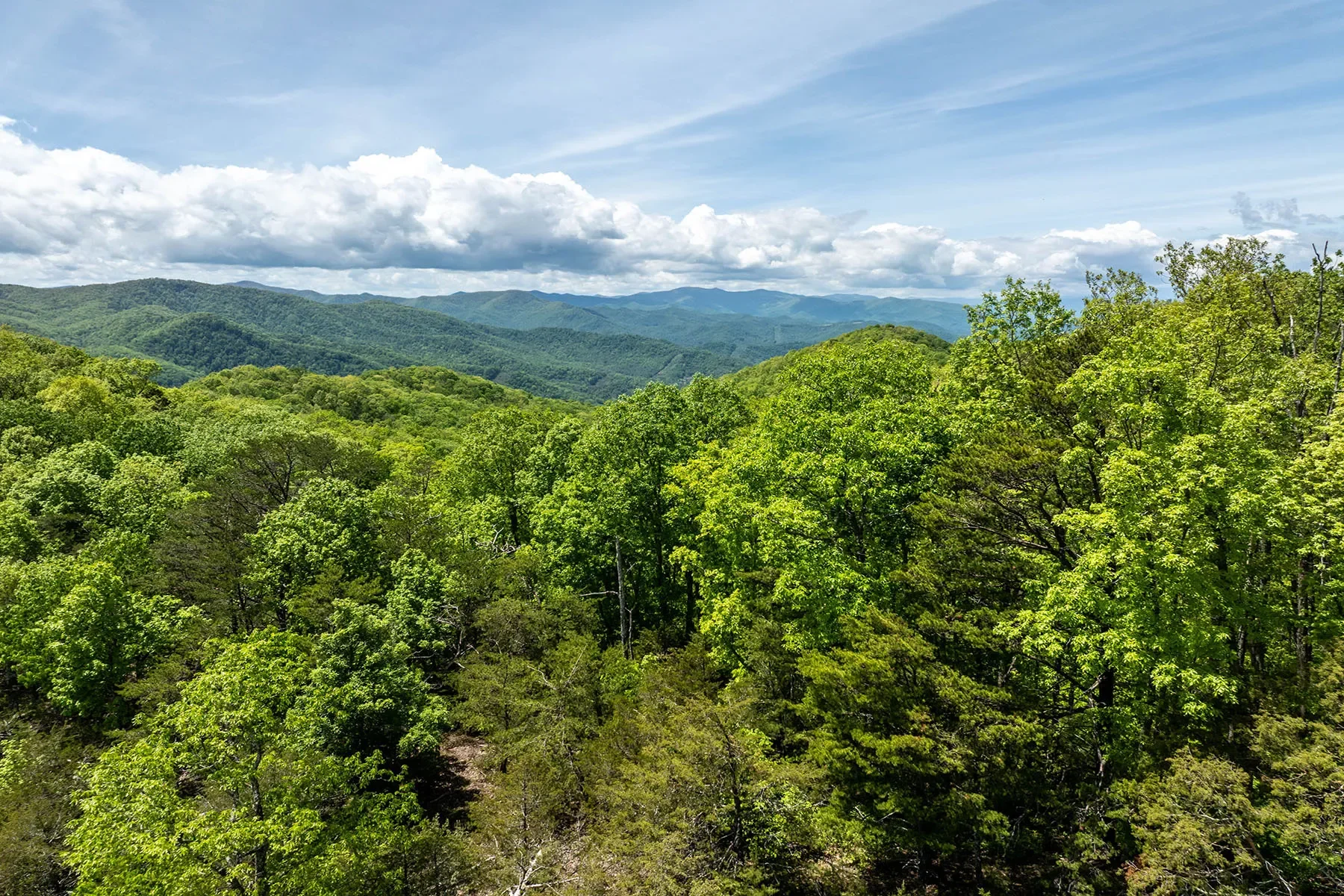 444 Woodring Cemetery Road, Tuckasegee, NC 28783, 28783, North Carolina, United States. - Photo 4