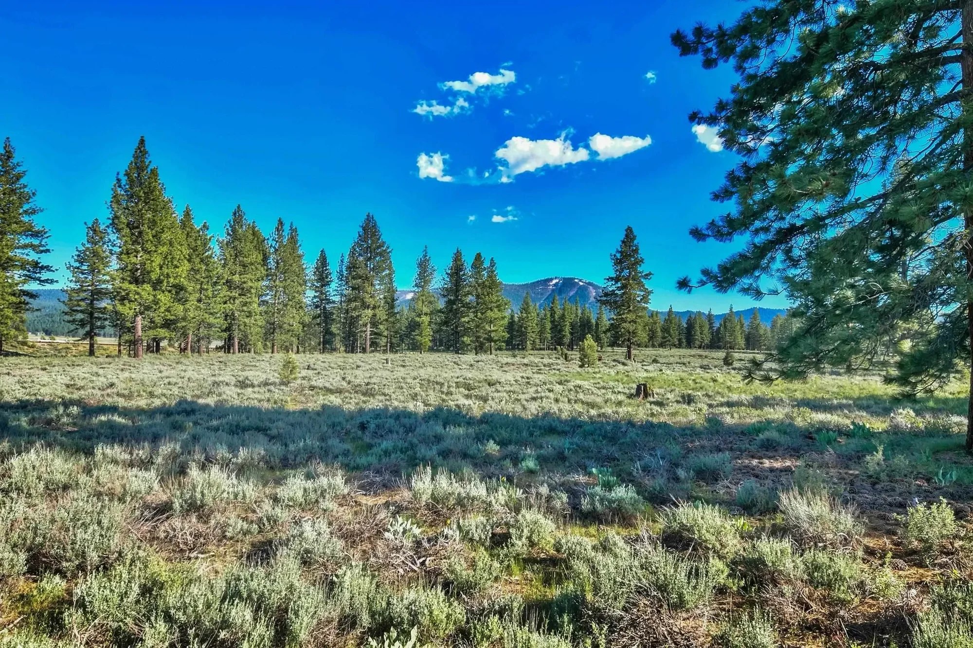 9701 Highway 267, Truckee, California, United States. - Photo 17