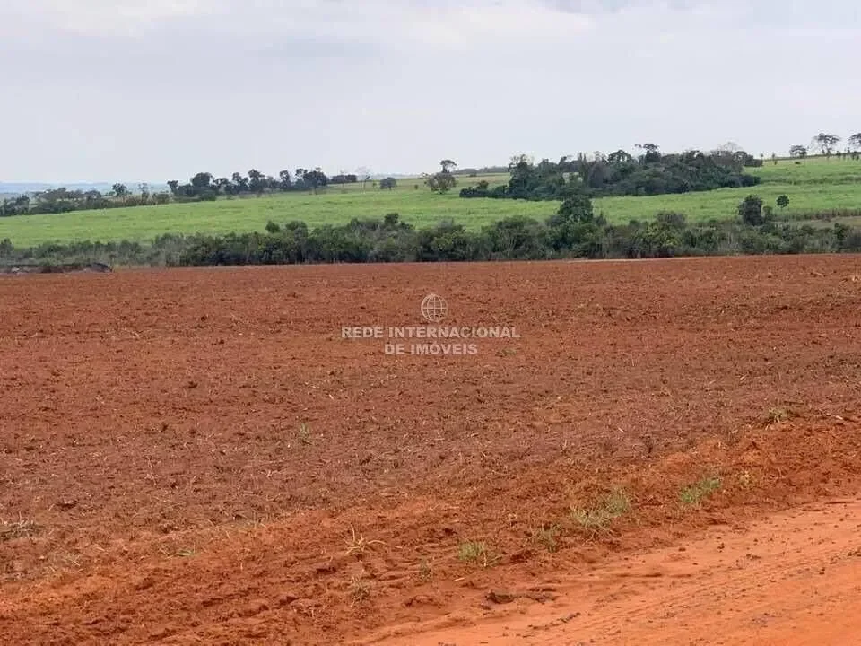 Farm between Mogi Guaçuenbsp; and Gerbi/SP summerhouse.