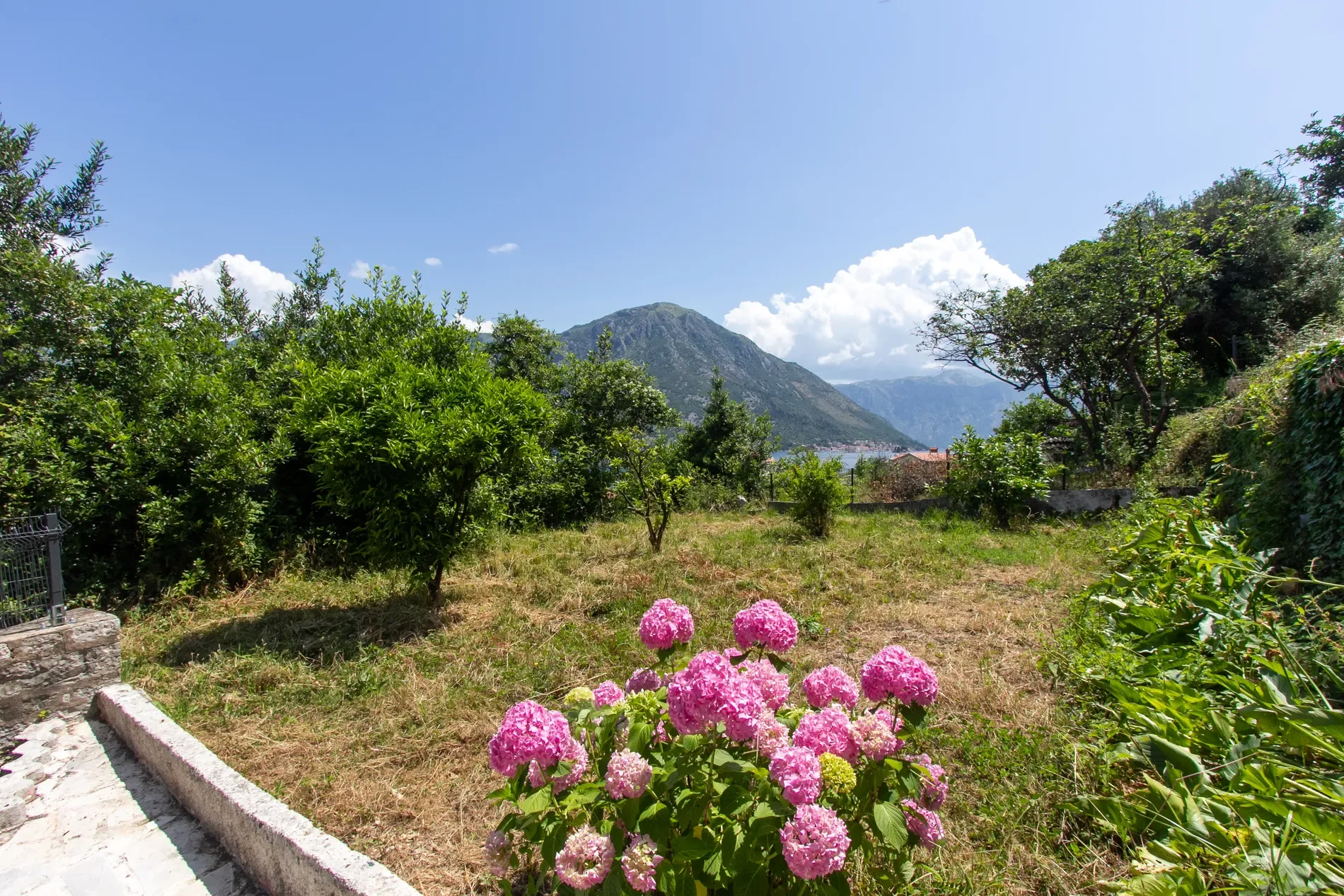 Kotor, Kotor, Kotor Municipality, Montenegro. - Photo 4