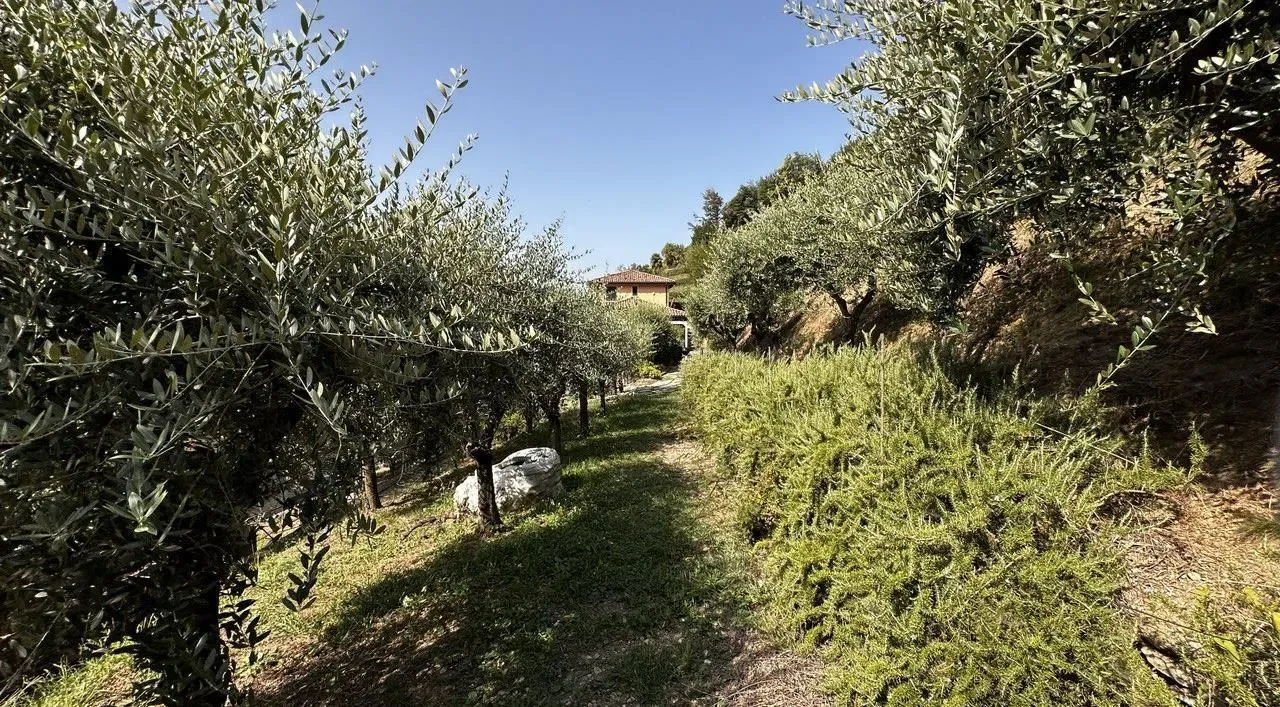 6833 Vacallo, Switzerland, Vacallo, Ticino, Switzerland. - Photo 10