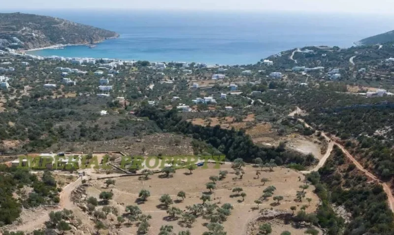Plot 12000 sq.m for sale