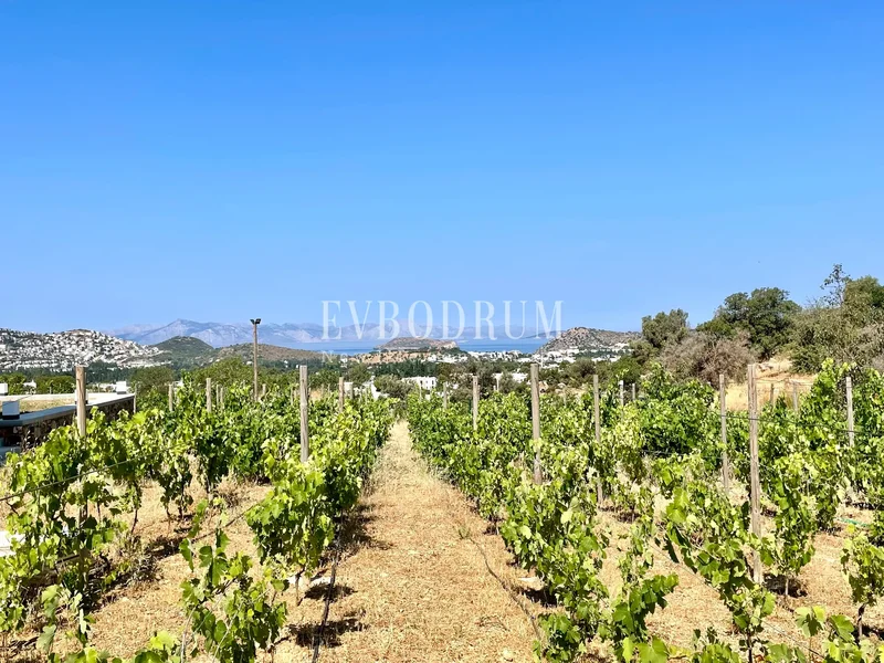 Bodrum, Muğla, Türkiye, Bodrum, Muğla, Turkey. - Photo 19