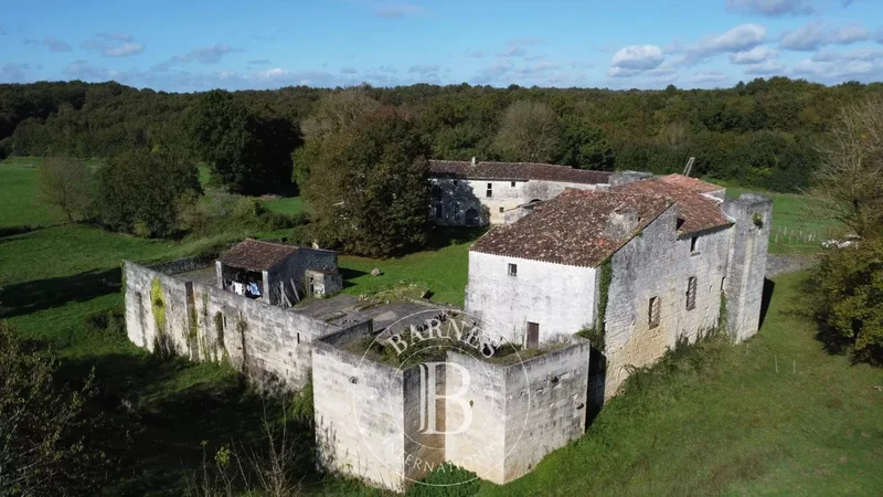 Saintes, Nouvelle-Aquitaine, France. - Photo 5