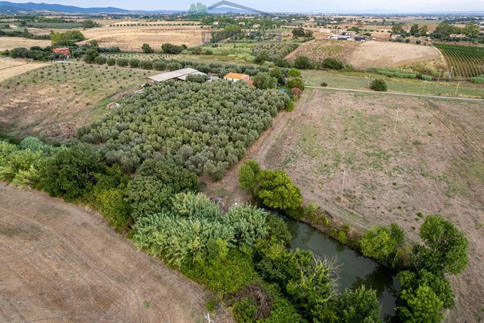Località Belvedere, Montalto di Castro, Lazio, Italy. - Photo 18
