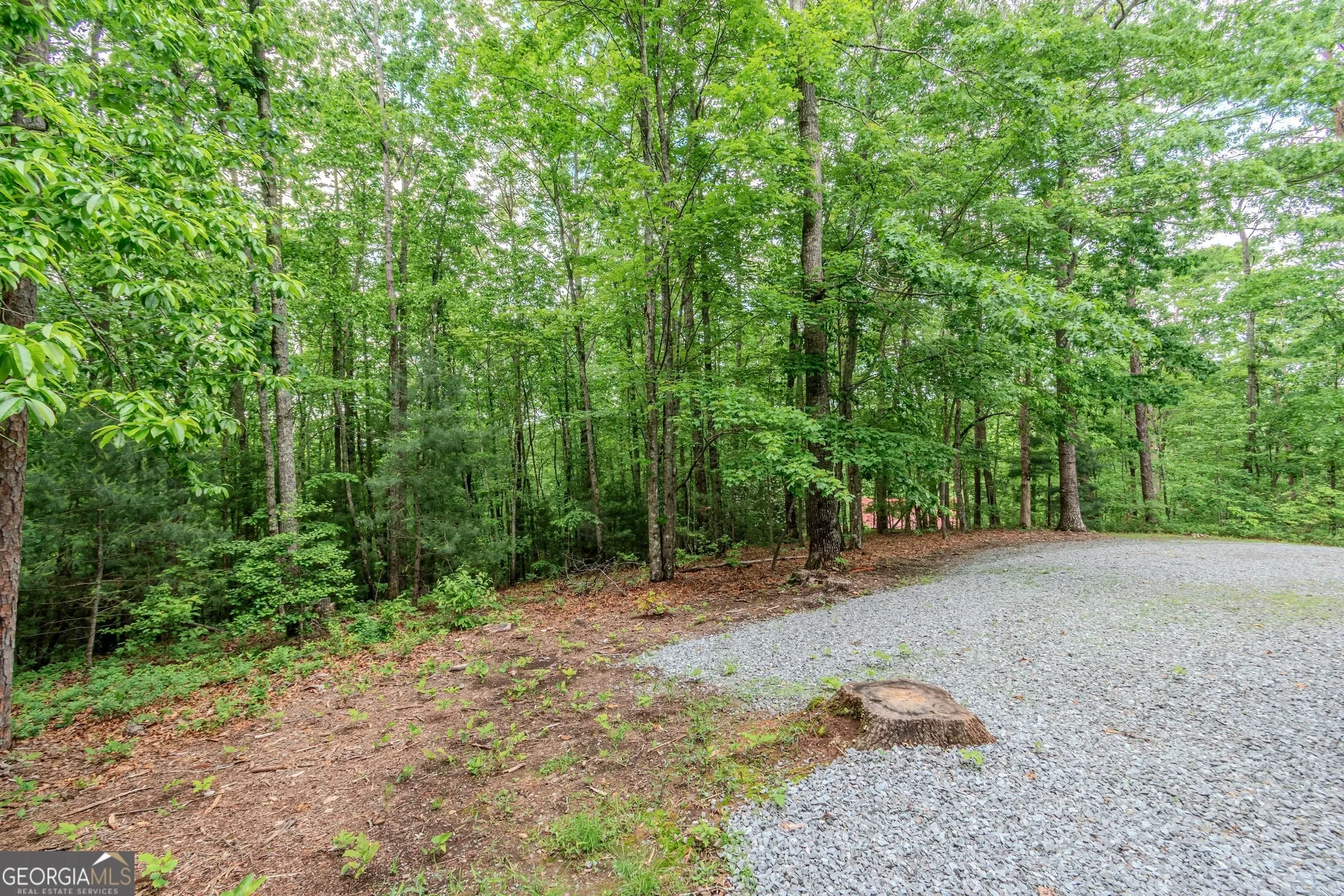 48 Timber Ridge RD, Blue Ridge, Georgia, United States. - Photo 62