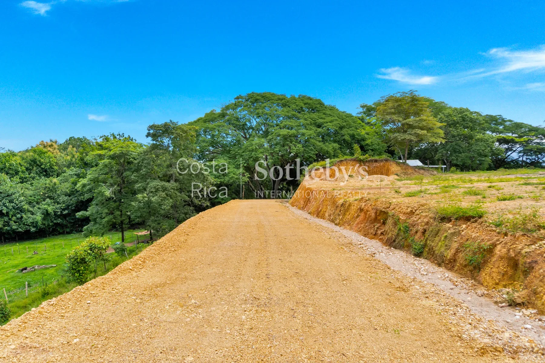 Gallery photo 9