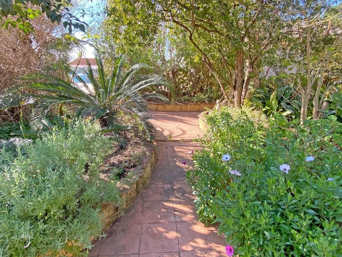 Benigánim, Valencia, Benigánim, Beniganim, Valencian Community, Spain. - Photo 11
