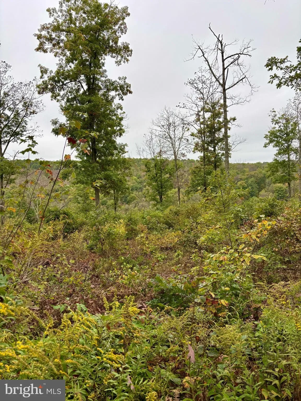 6 BEECH CREEK MOUNTAIN RD ROAD, BEECH CREEK, PA 16822, Monument, Pennsylvania, United States. - Photo 14
