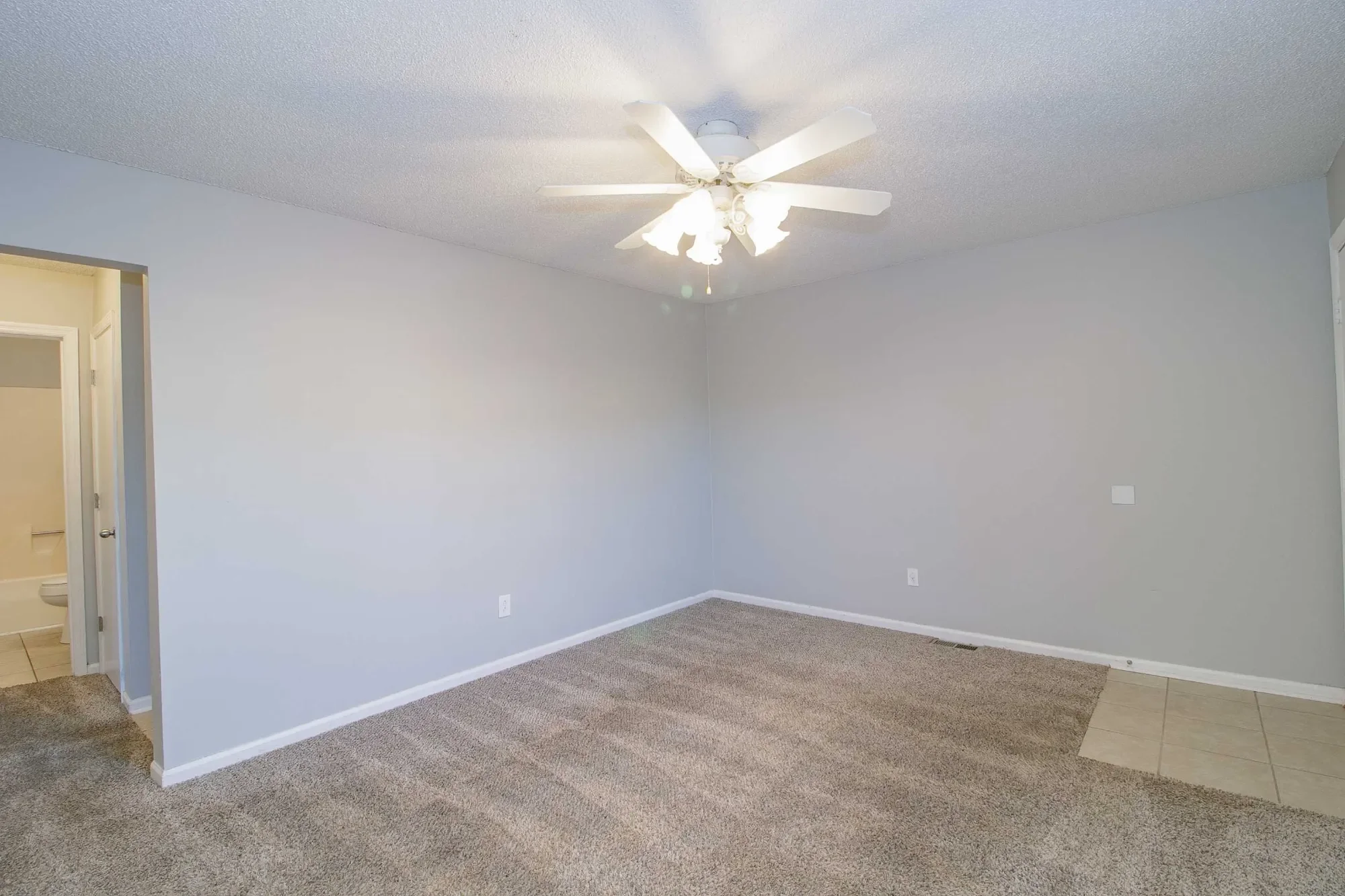 Gallery photo 12