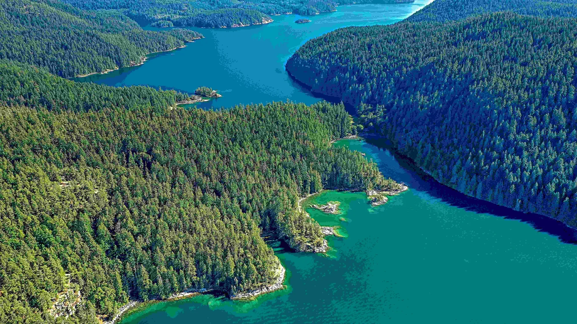 Portage Cove, BC, Canada, Theodosia Arm, British Columbia, Canada. - Photo 4