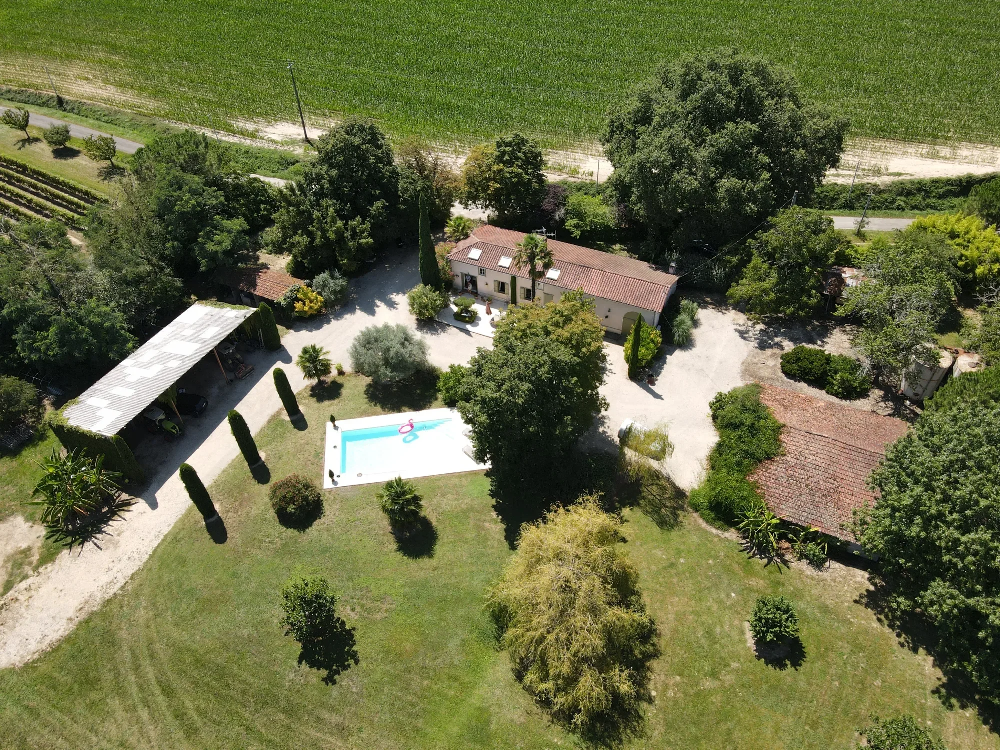 Éauze, Occitanie, France. - Photo 13