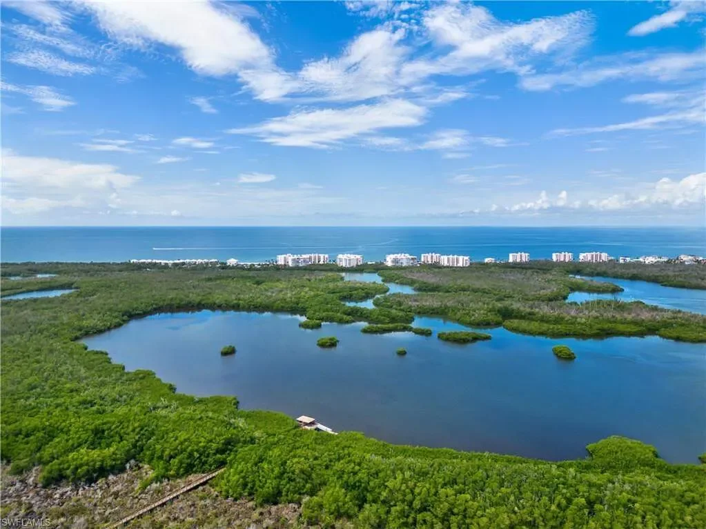 245 Charleston CT, Naples, FL, 34110, USA, Bonita Springs, Florida, United States. - Photo 39