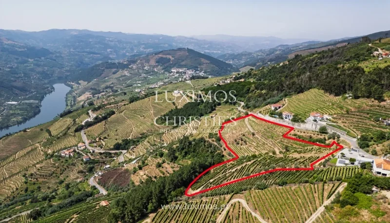 Vila Marim, VILA REAL, Vila Marim, Vila Real District, Portugal. - Photo 23