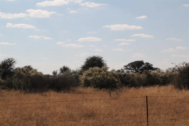 Vryburg: Farm For Sale, Brussels – 2334 Ha
