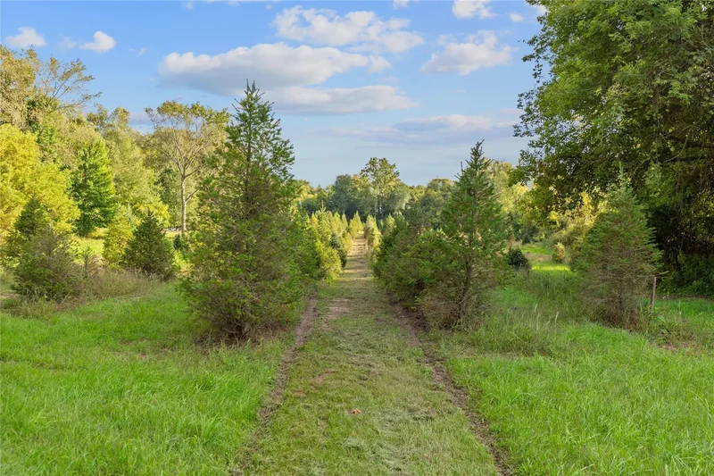 4700 Stanley Road, Columbiaville, MI, 48421, USA, Columbiaville, Michigan, United States. - Photo 66