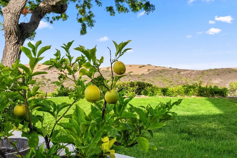 31 Mirador #34 , Irvine, CA 92612, Irvine, California, United States. - Photo 40