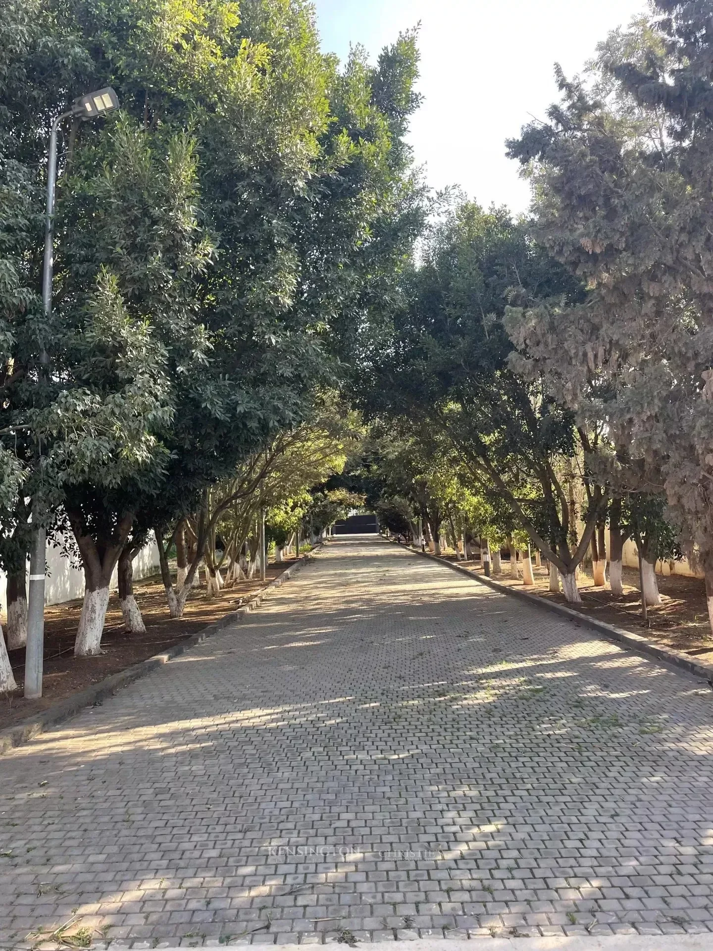 Casablanca, Casablanca-Settat, Morocco. - Photo 15