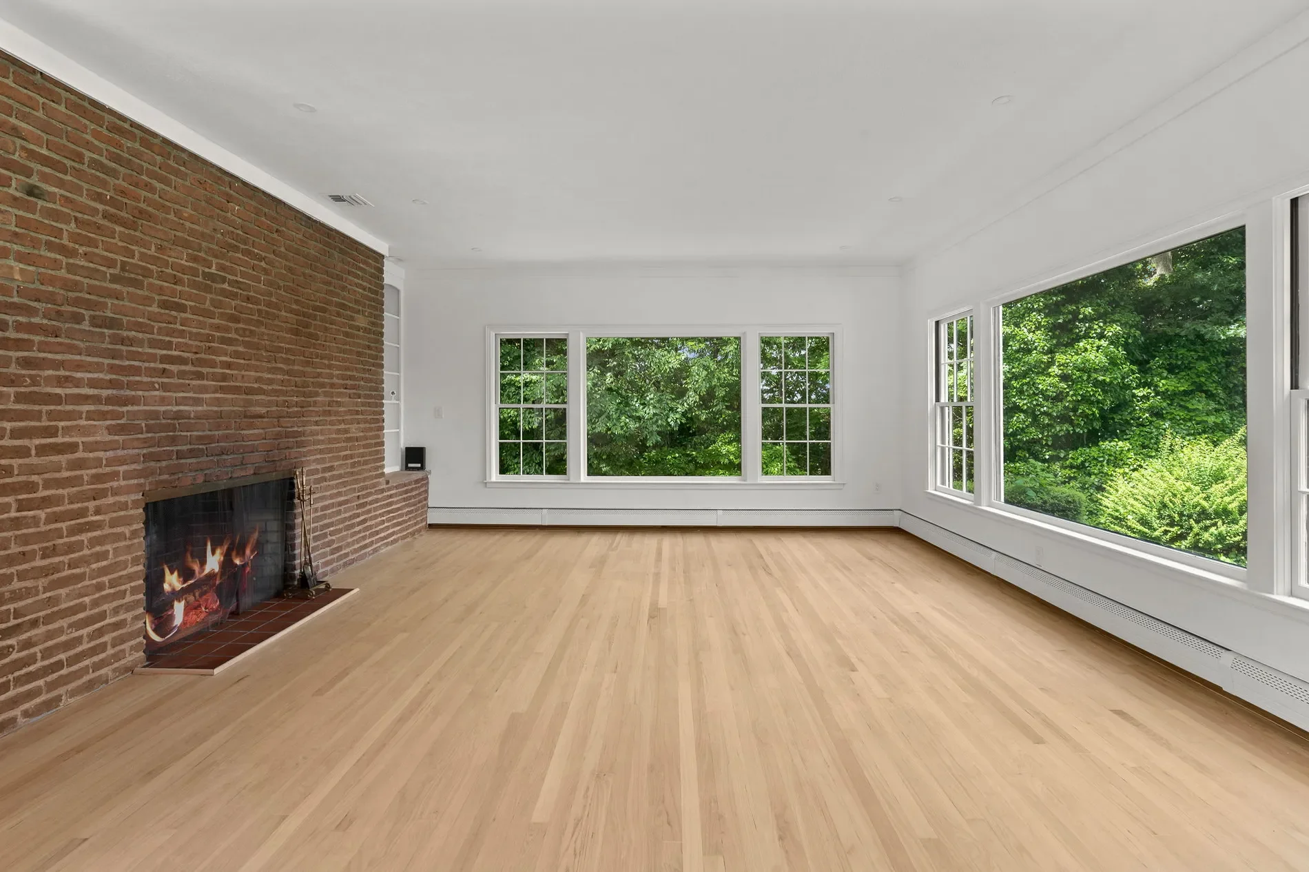 Gallery photo 6