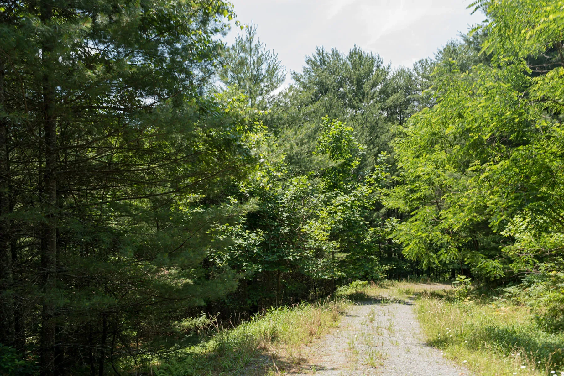 1000 Sutton Creek Road, Pisgah Forest, NC 28768, Mills River, North Carolina, United States. - Photo 17