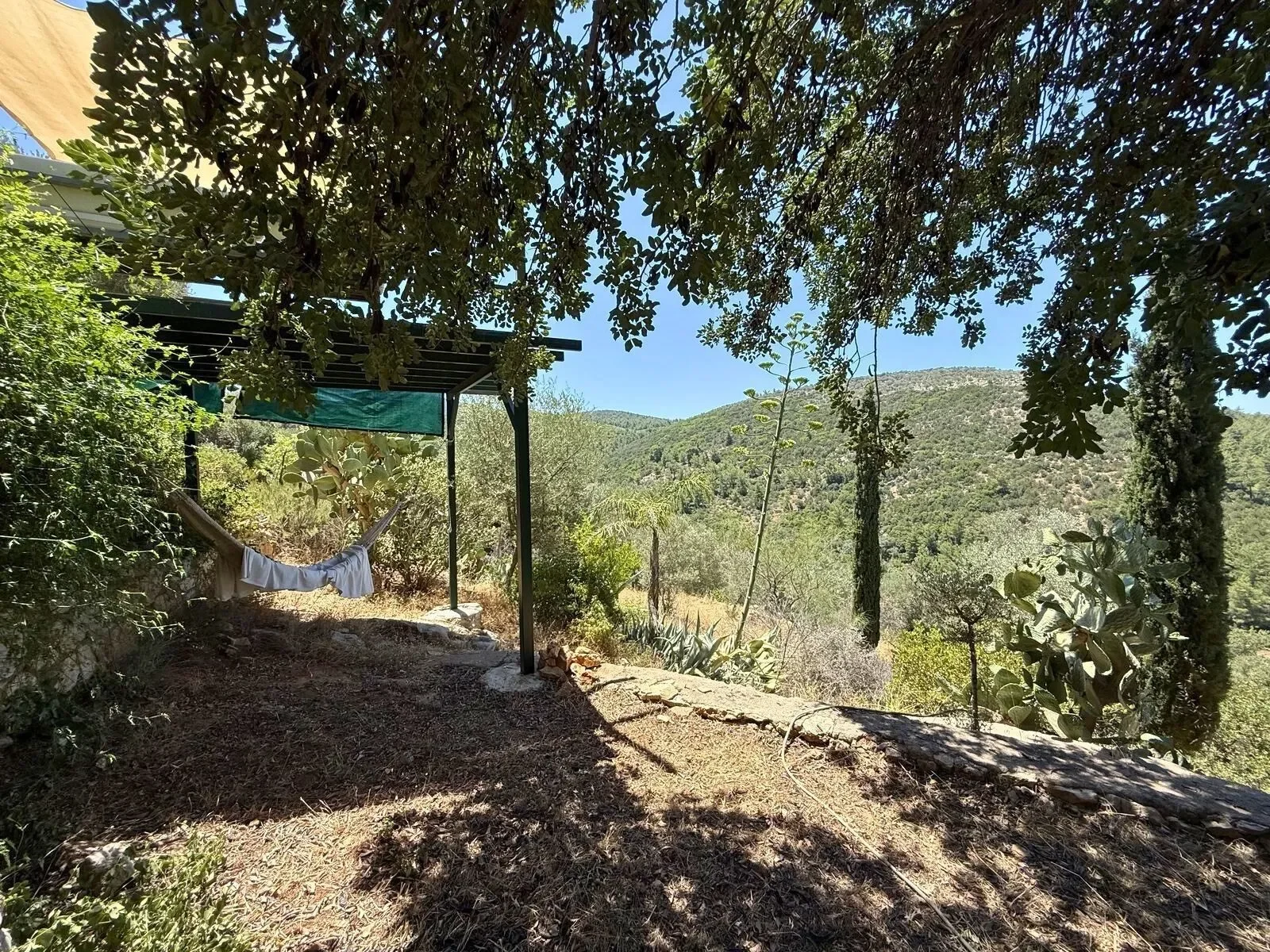 Gallery photo 12