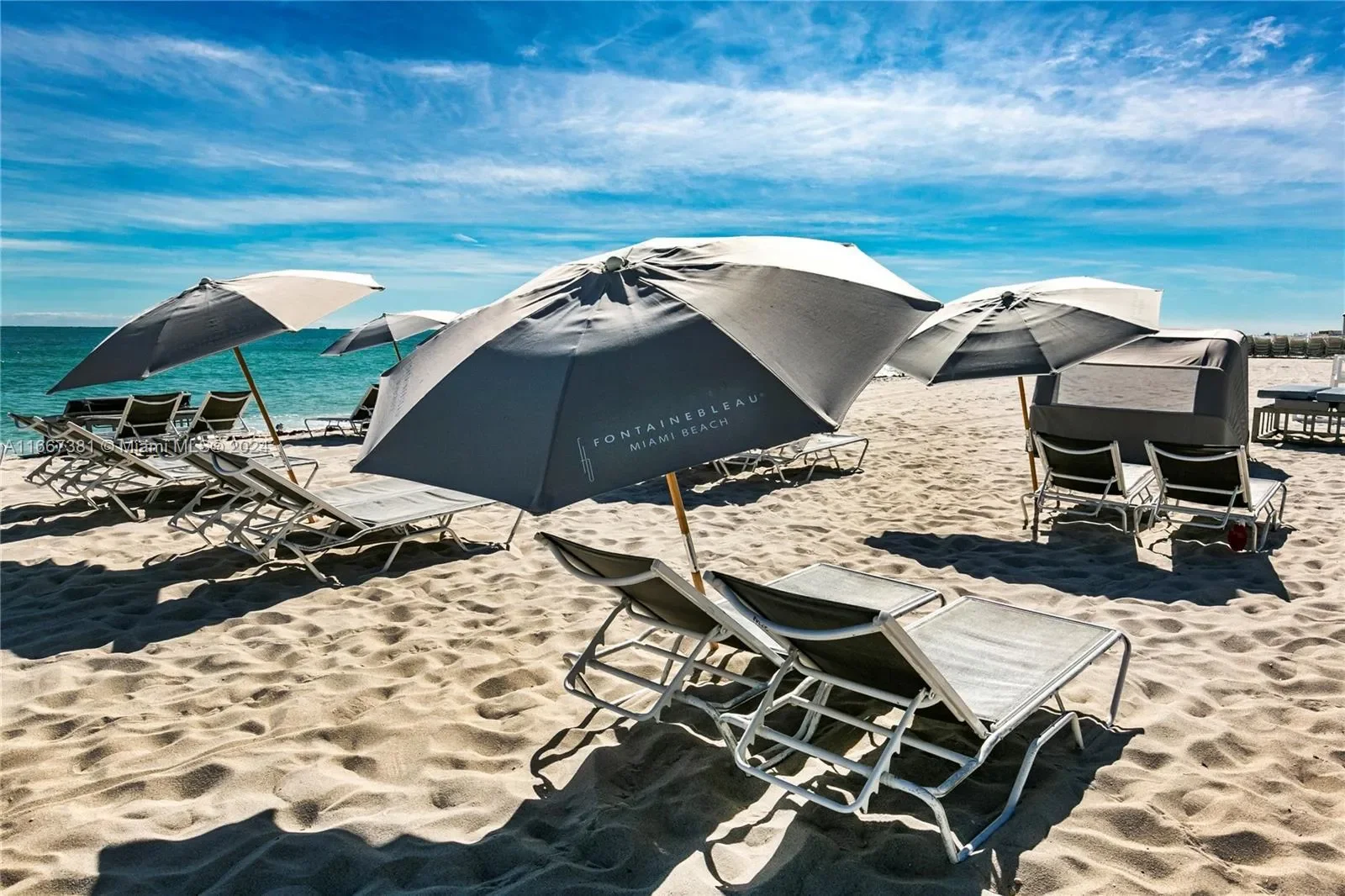 4401 Collins Ave 1709, Miami Beach, Florida, United States. - Photo 39