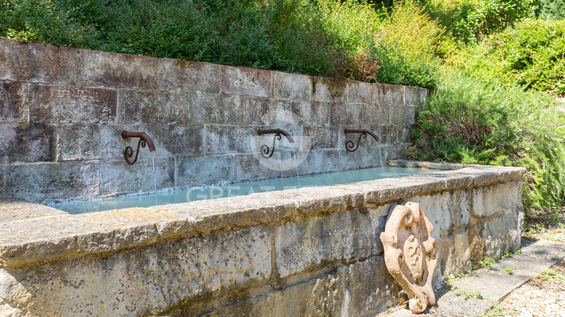 Tuscany, Reggello, Tuscany, Italy. - Photo 4