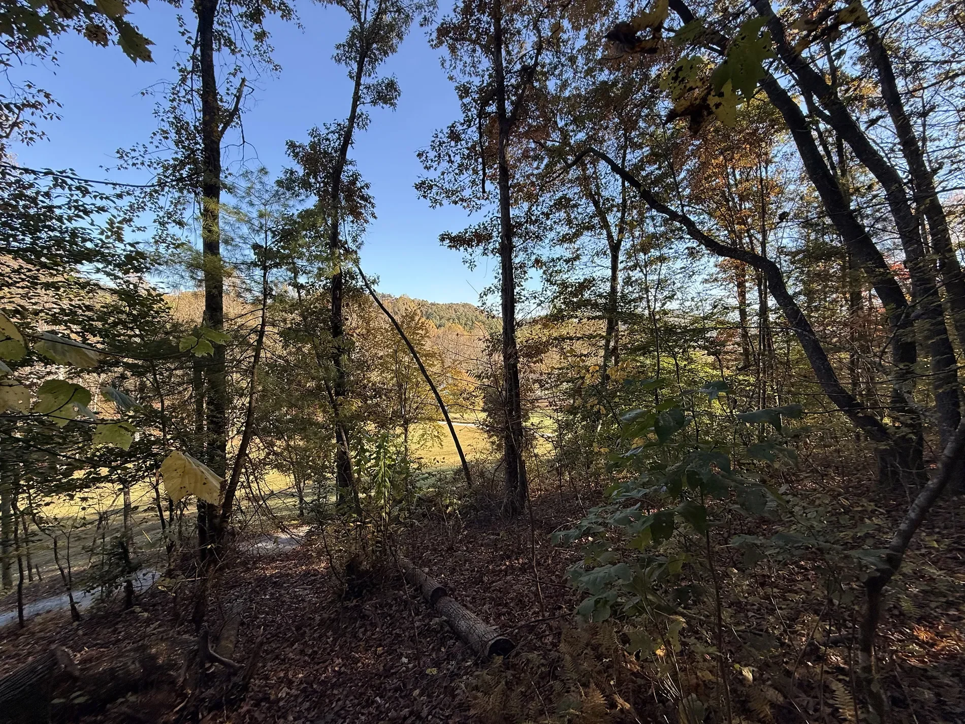 Property photo 9