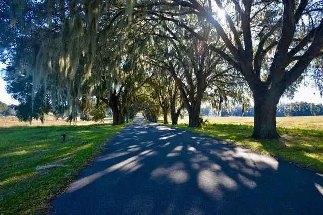 11920 SE 8TH AVENUE, Ocala, Florida, United States. - Photo 2