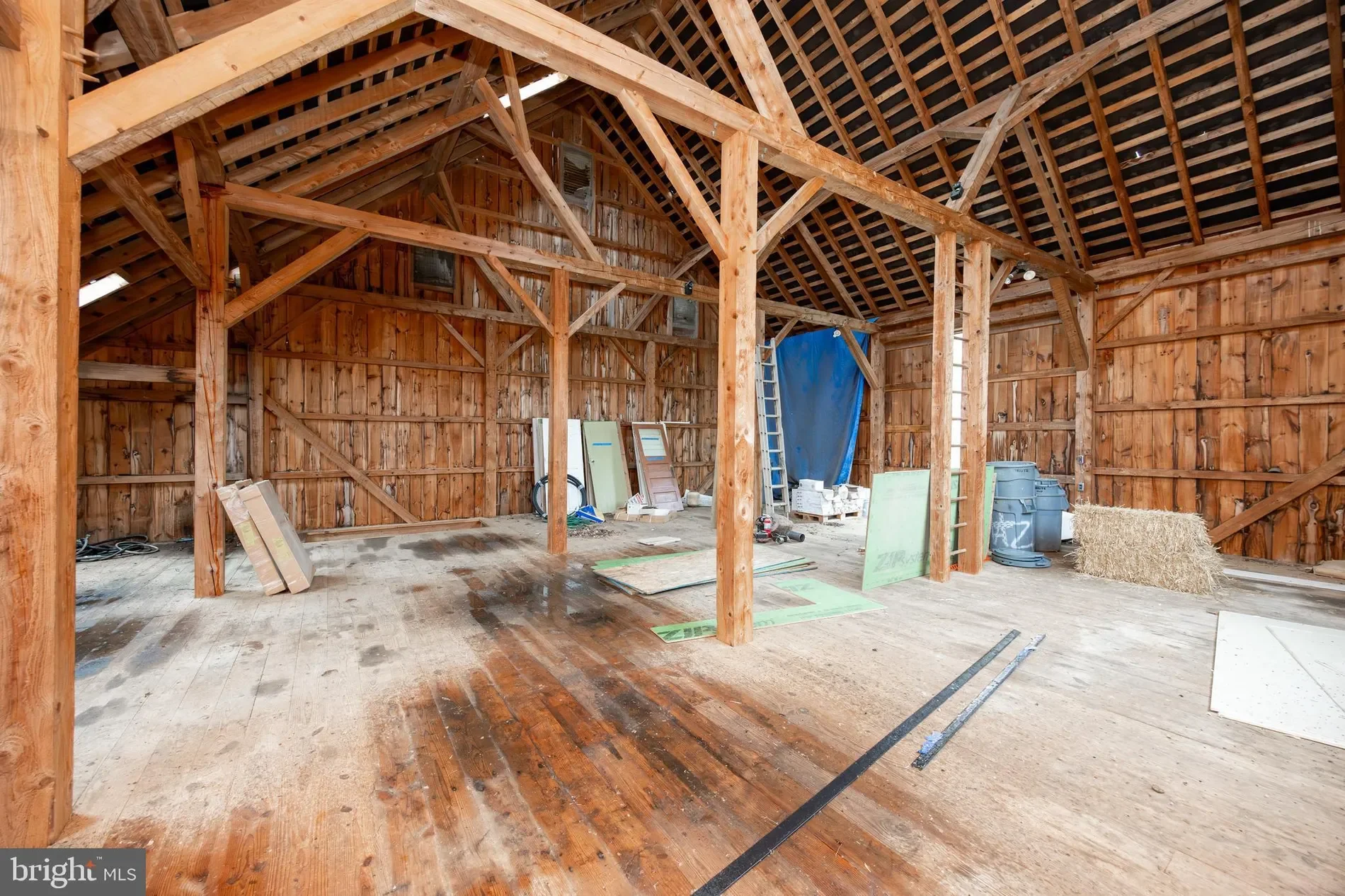 Gallery photo 12