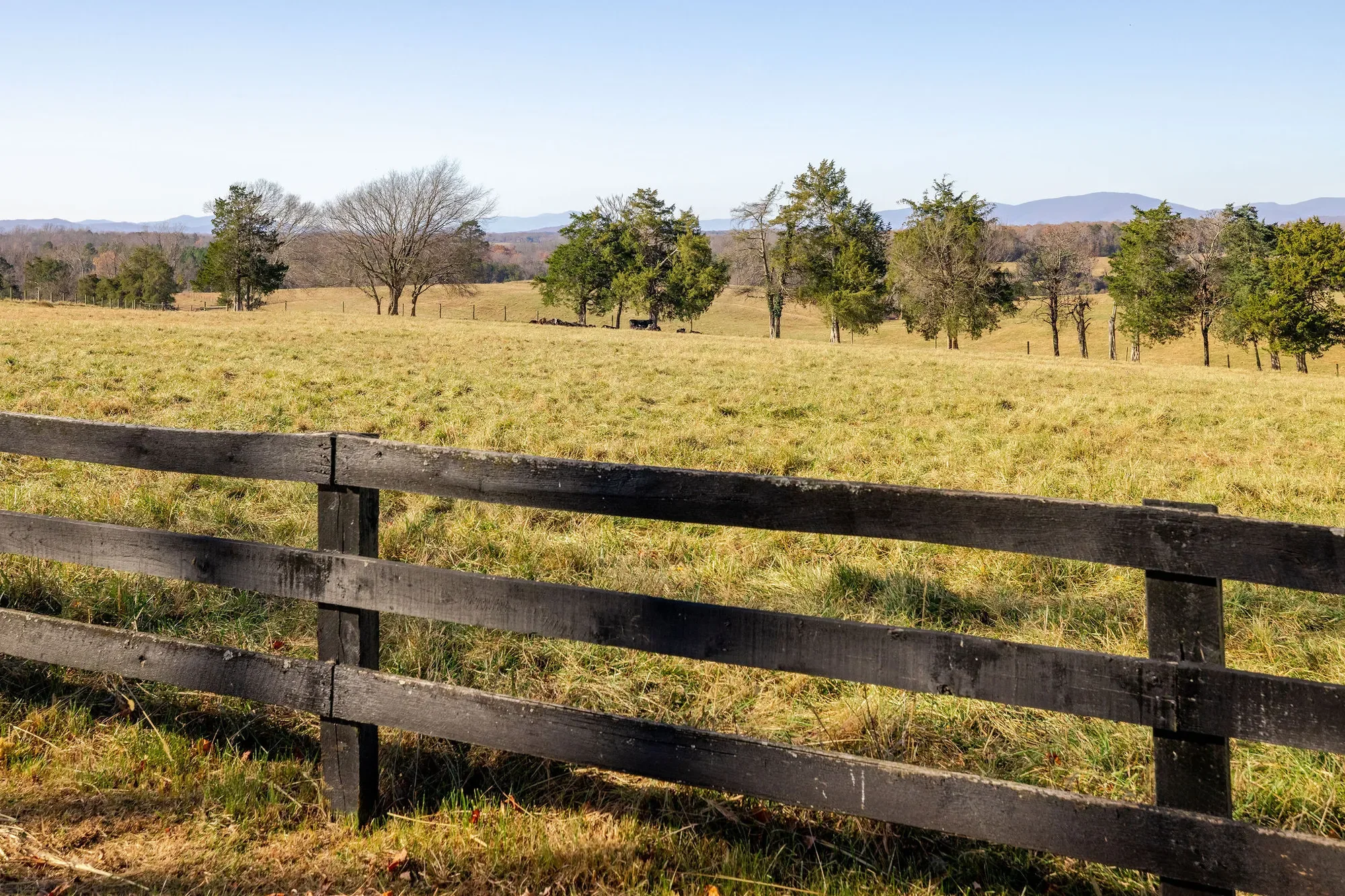 3260 Earlysville Rd, Earlysville, VA 22936, Earlysville, Virginia, United States. - Photo 13