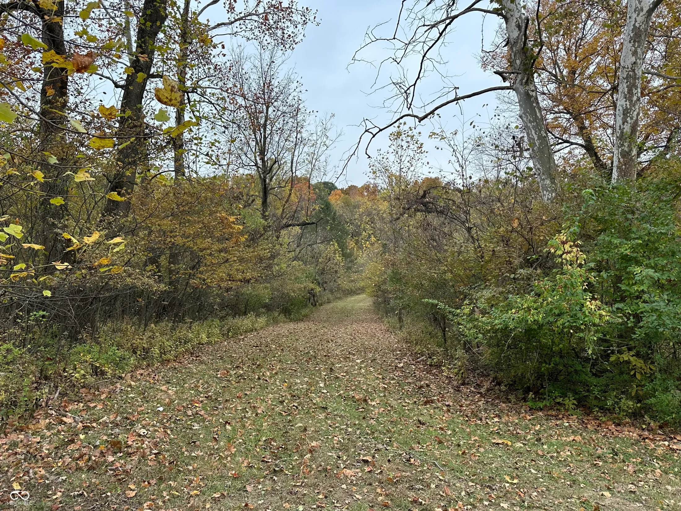 8351 S State Road 39, Clayton, IN 46118, Monrovia, Indiana, United States. - Photo 24
