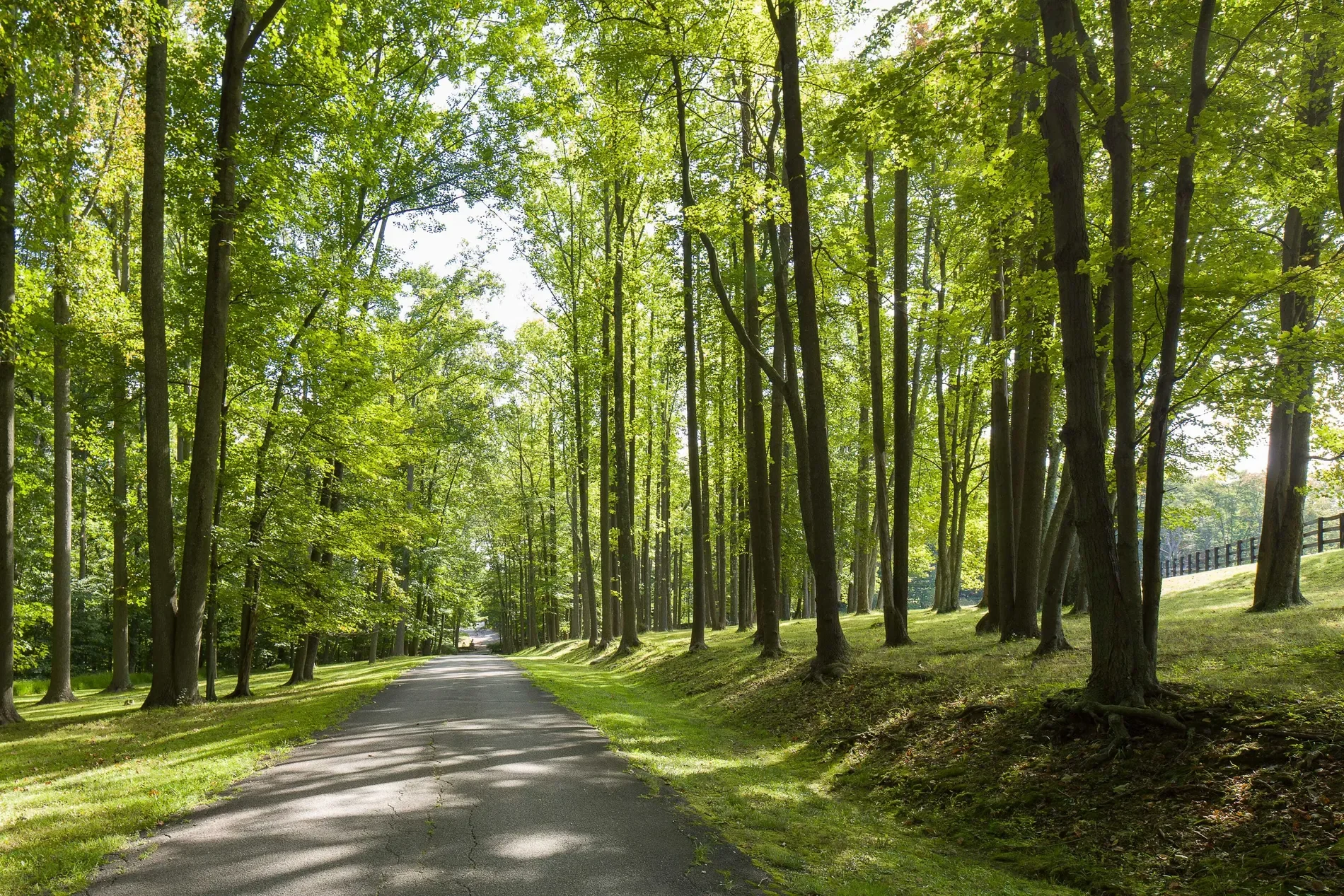 149 Narrows Road, Bedford Hills, NY, 10507, USA, Bedford Hills, New York, United States. - Photo 26