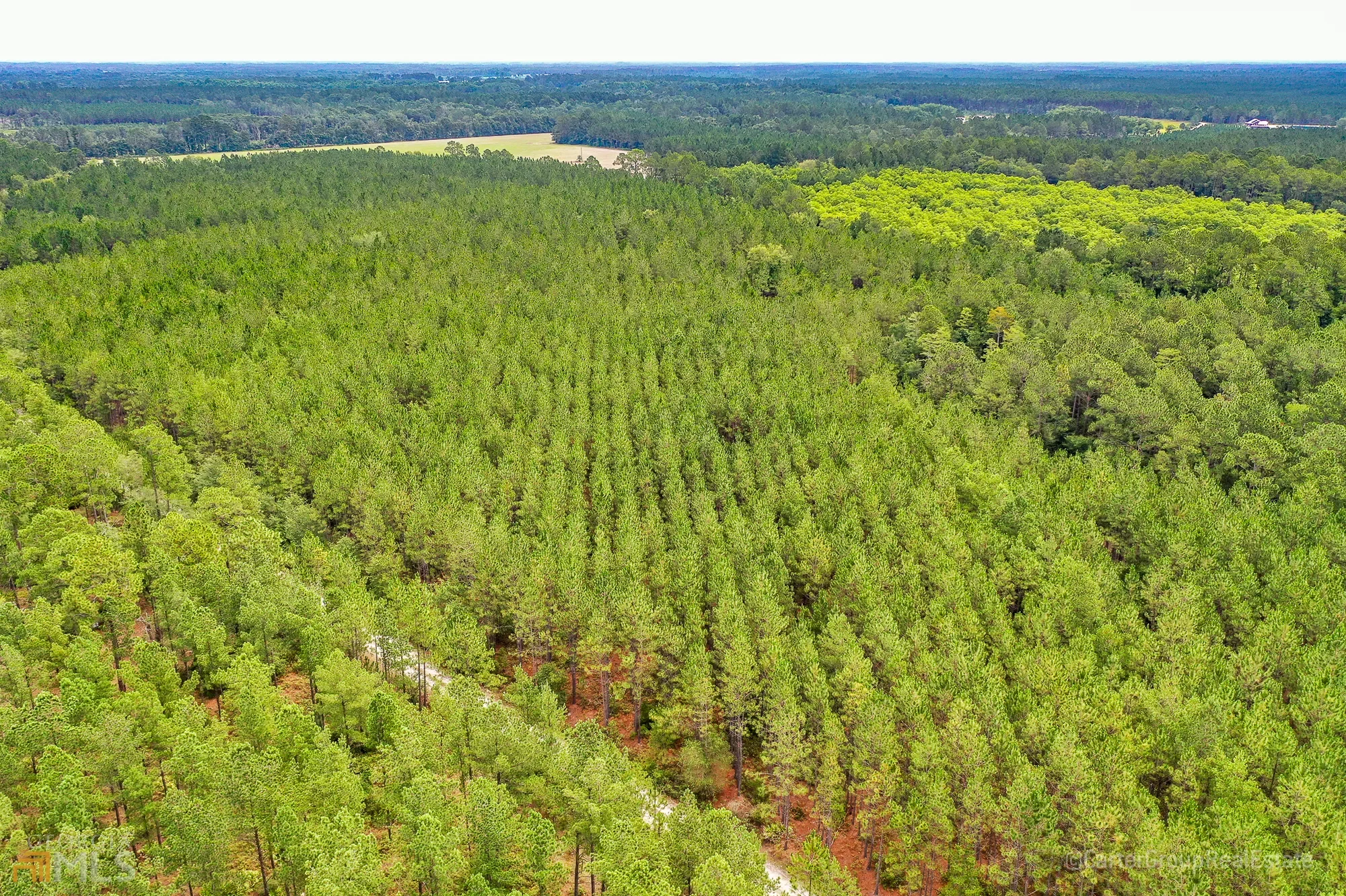 0 Miller Hayes Road, Waycross, GA 31503, Waycross, Georgia, United States. - Photo 13
