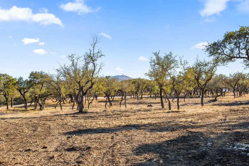 Lot 6 Redbud Ranch , Johnson City, TX 78636, Johnson City, Texas, United States. - Photo 16
