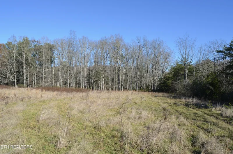 Sparta Hwy 63.3 Acres, Crossville, TN 38555, Crossville, Tennessee, United States. - Photo 21