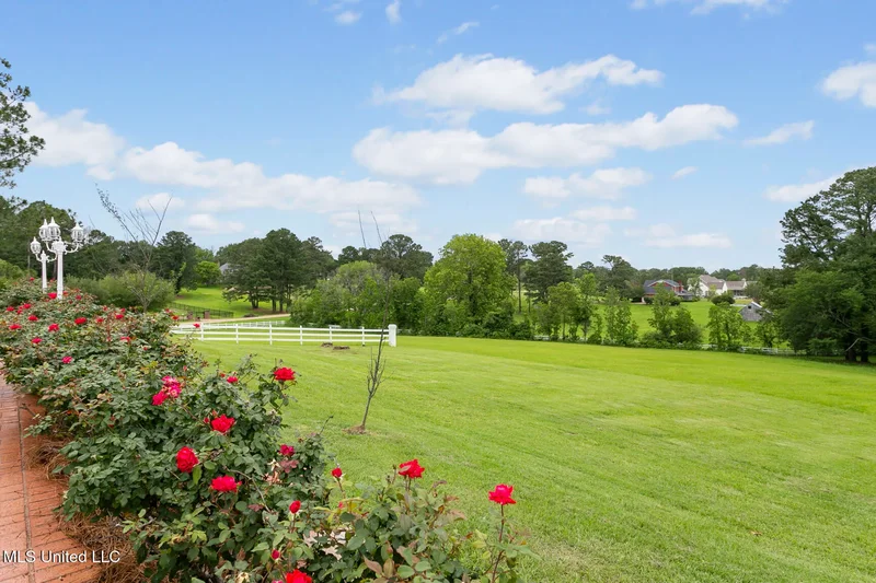 8 Twelve Oaks Place, Madison, MS 39110, Madison, Mississippi, United States. - Photo 51