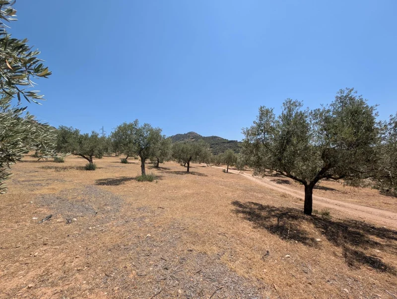 Andalucia, Loja, GRANADA, Loja, Loja, Andalusia, Spain. - Photo 19
