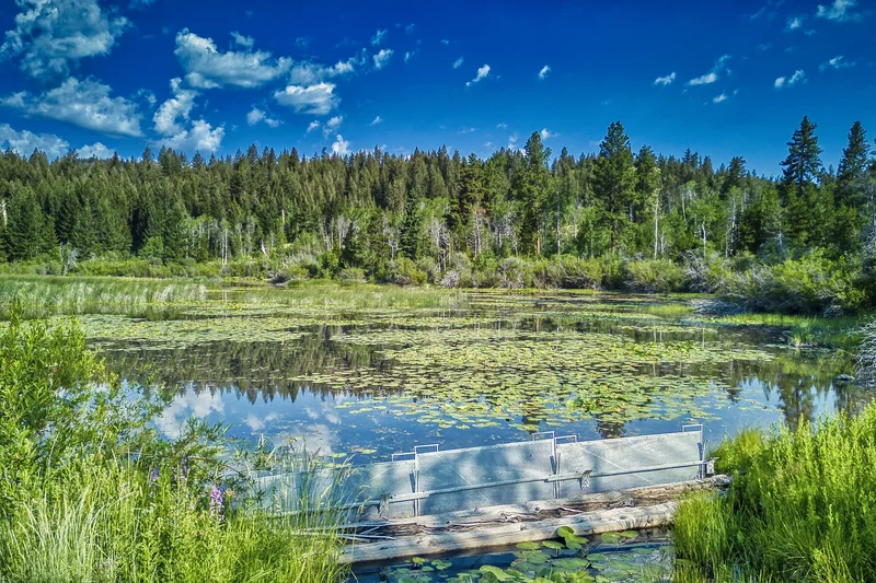 1000 Halfway Lake Road, Princeton, BC V0X 1W0, Thalia, British Columbia, Canada. - Photo 56