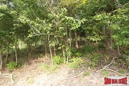 Surat Thani,, Surat Thani, Surat Thani, Thailand. - Photo 2