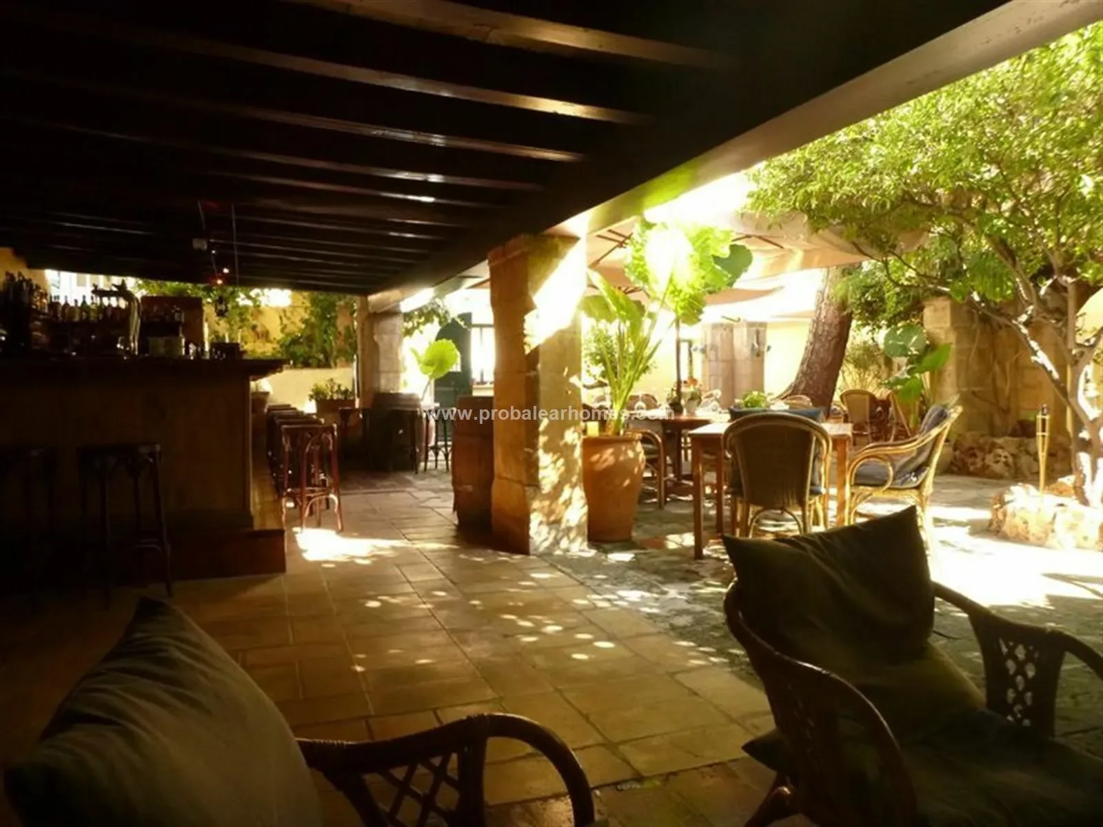 Gallery photo 11