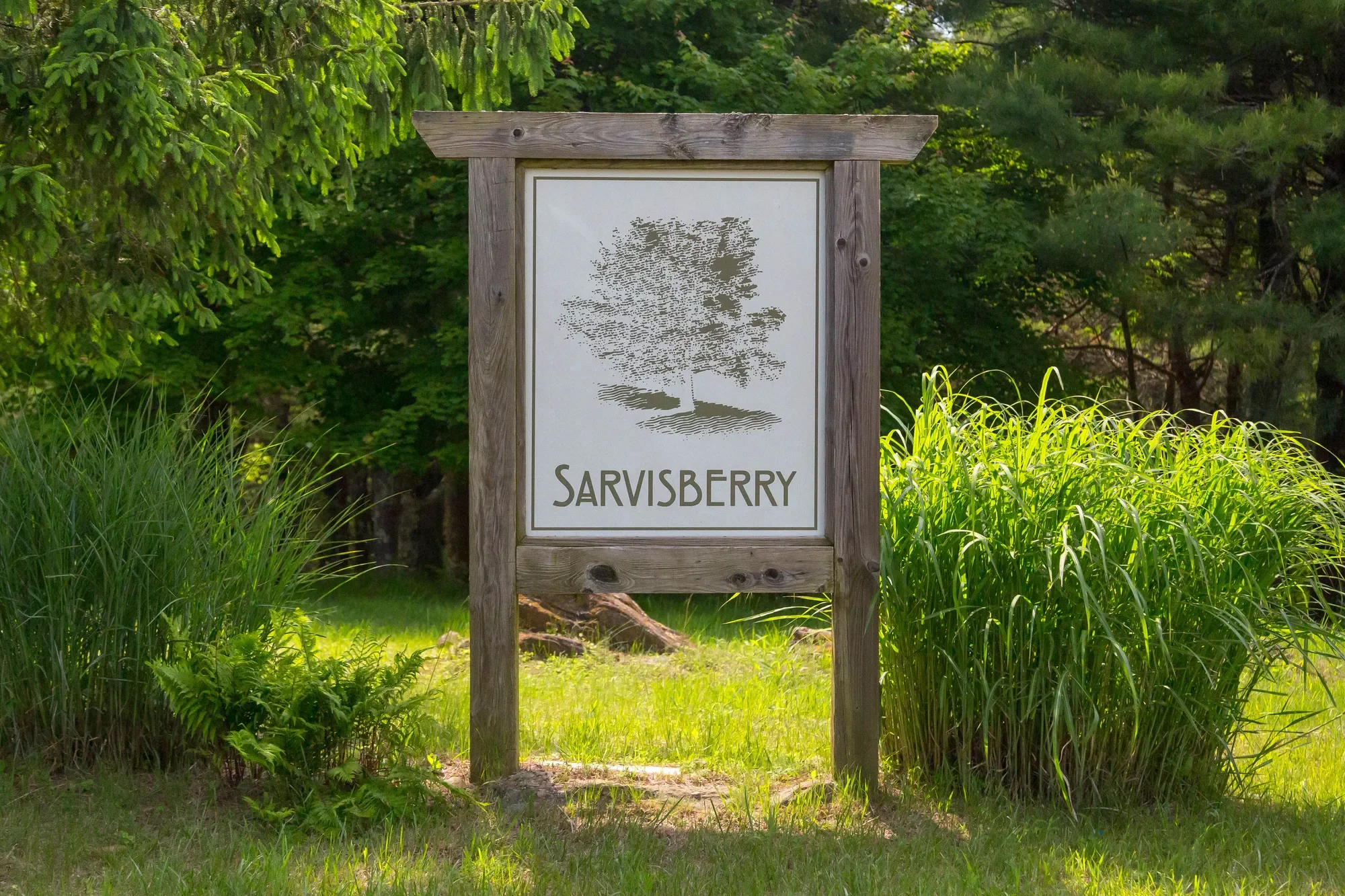 170 & 174 Sarvisberry Ln SW, Floyd, VA 24091, Floyd, Virginia, United States. - Photo 73